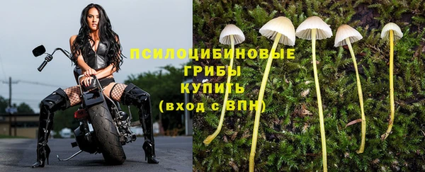 MDMA Premium VHQ Арсеньев