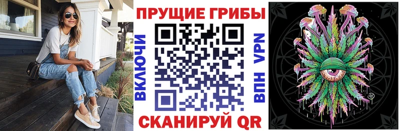 Галлюциногенные грибы Psilocybine cubensis  Удомля 